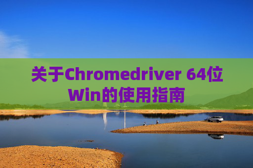 关于Chromedriver 64位Win的使用指南
