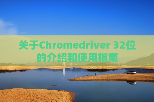 关于Chromedriver 32位的介绍和使用指南
